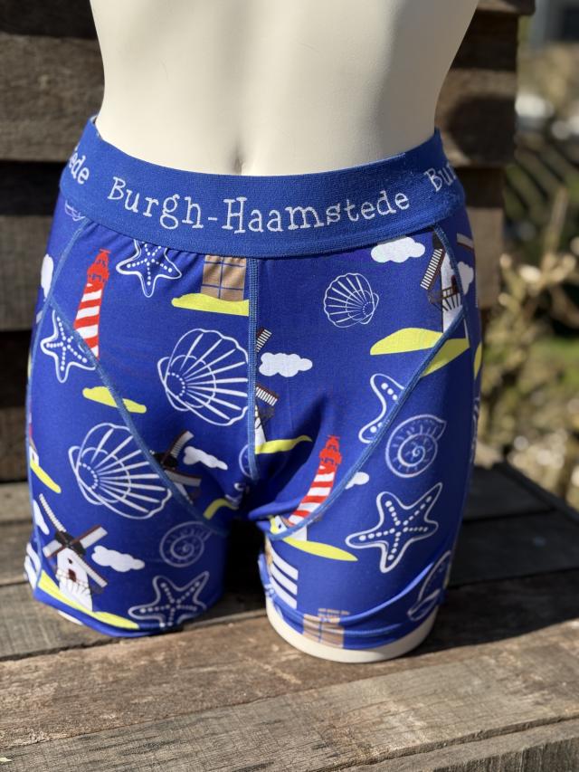 Boxer Burgh-Haamstede